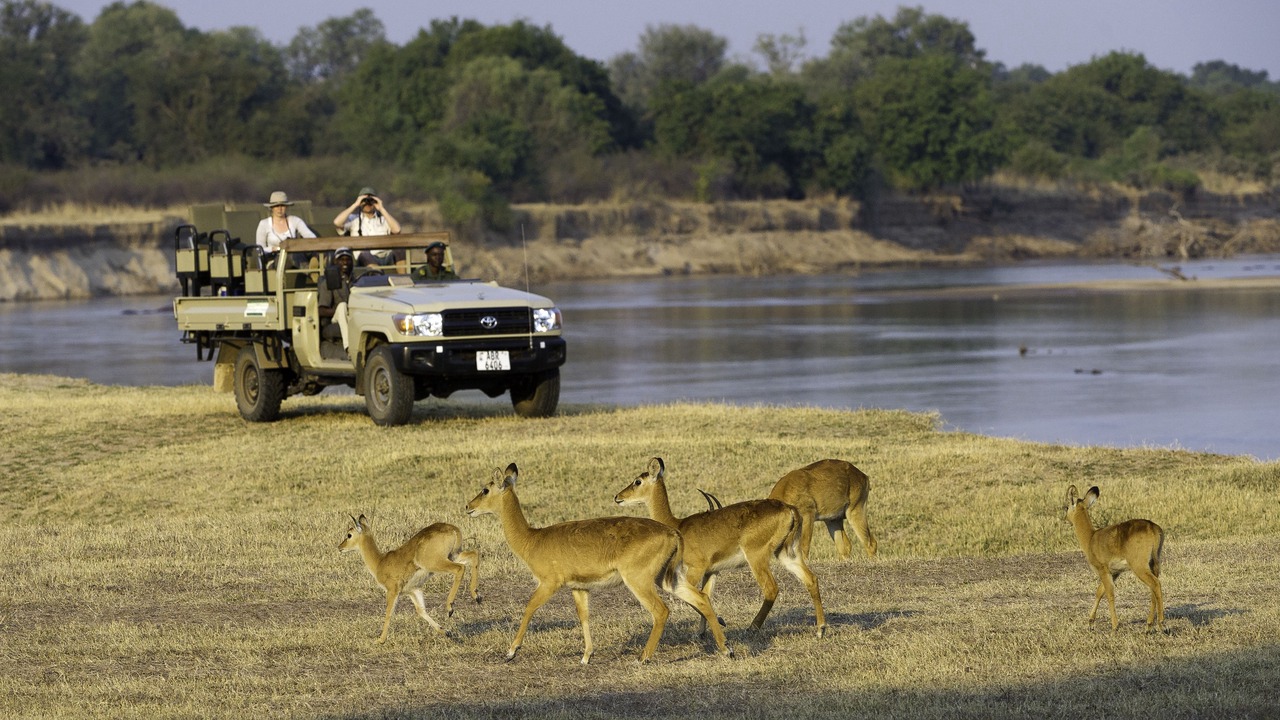 Photo of Others in South Luangwa National Park