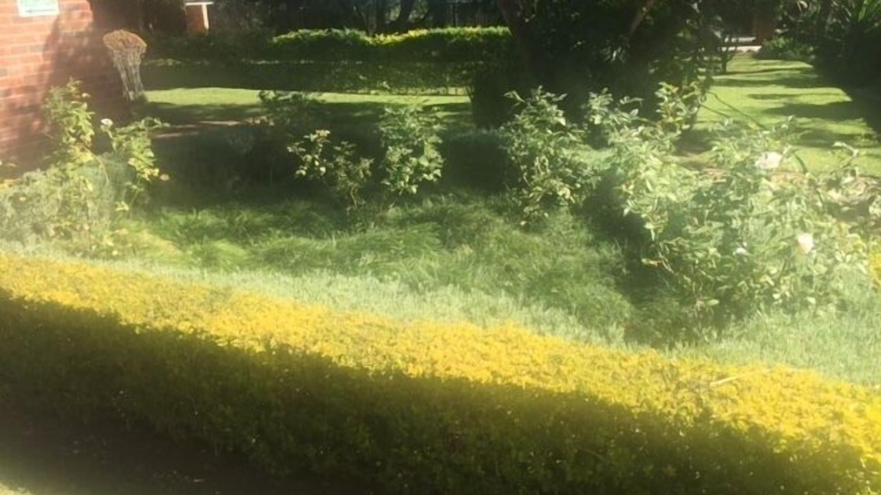 Photo of Outdoor in Bulawayo