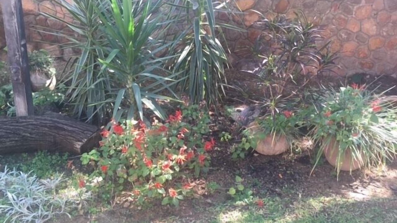 Photo of Outdoor in Bulawayo