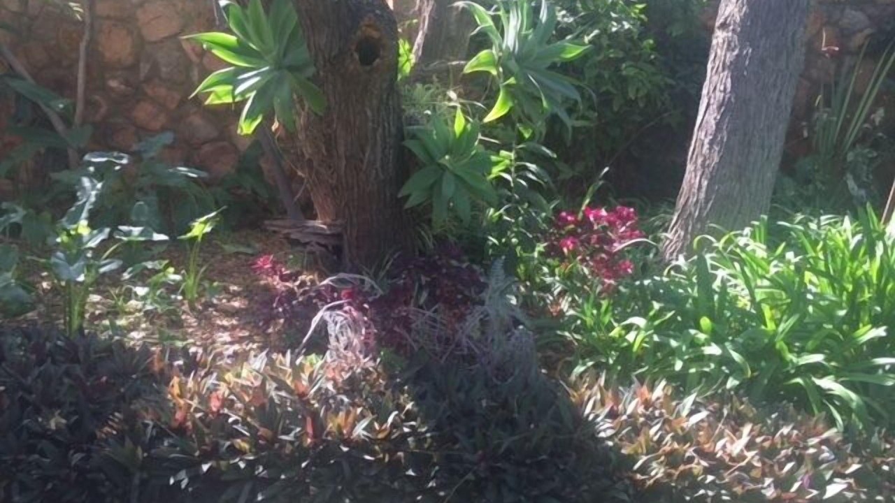 Photo of Outdoor in Bulawayo