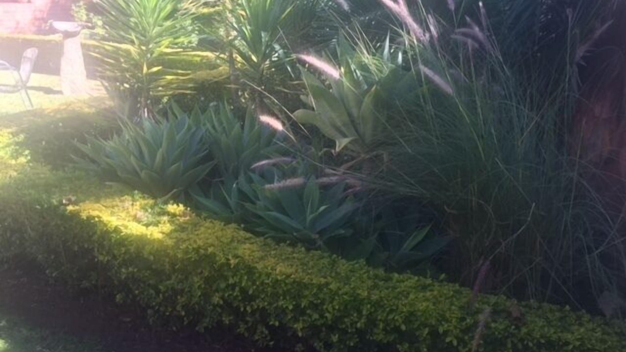 Photo of Outdoor in Bulawayo