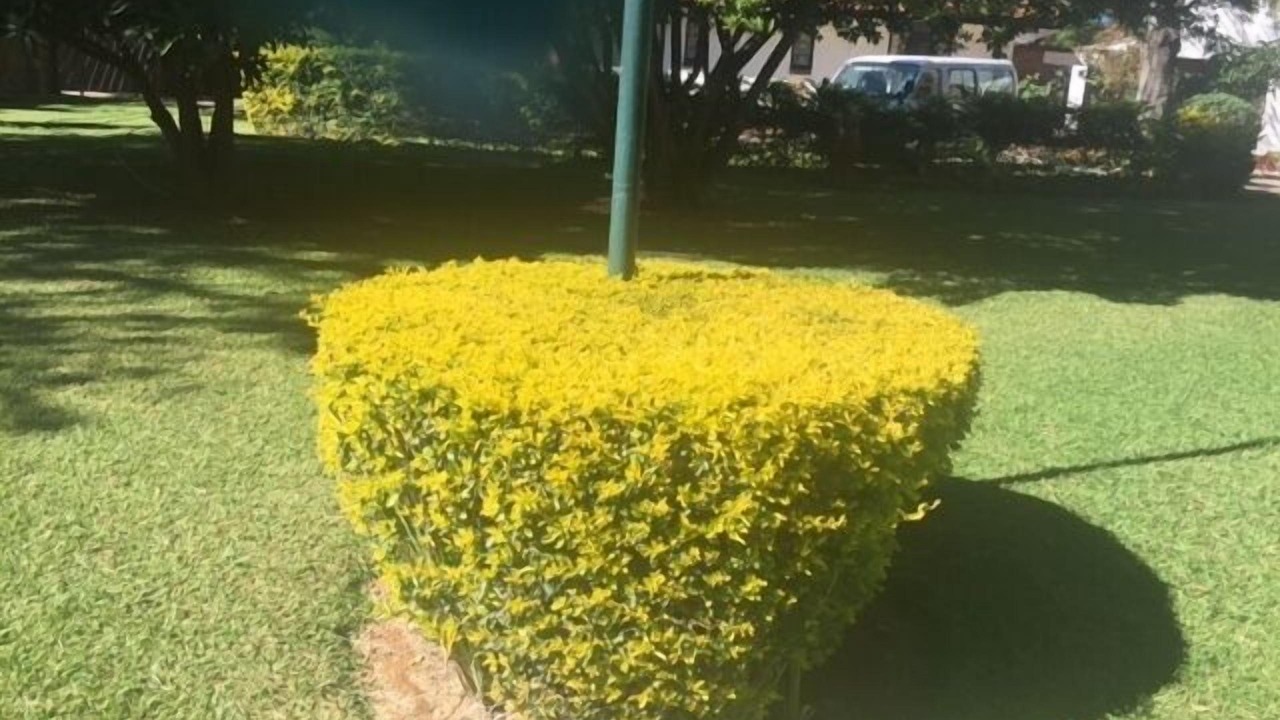 Photo of Outdoor in Bulawayo