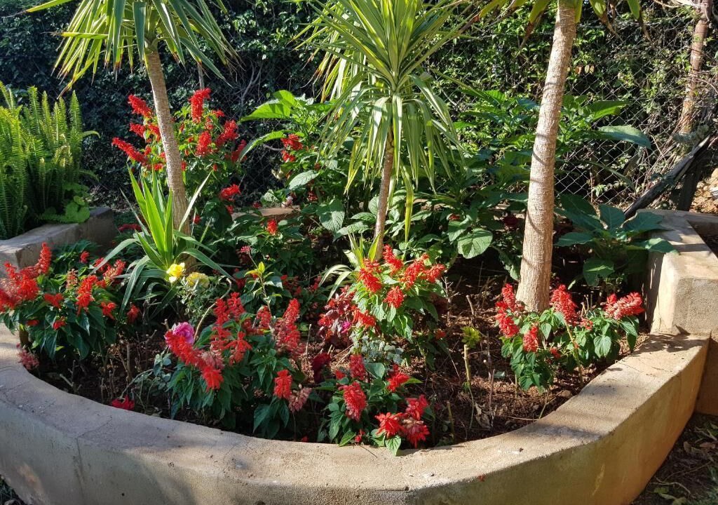 Photo of Outdoor in Bulawayo