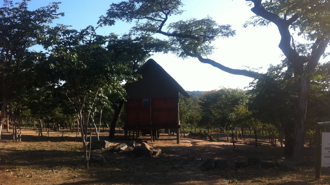 Photo of Outdoor in Kasane