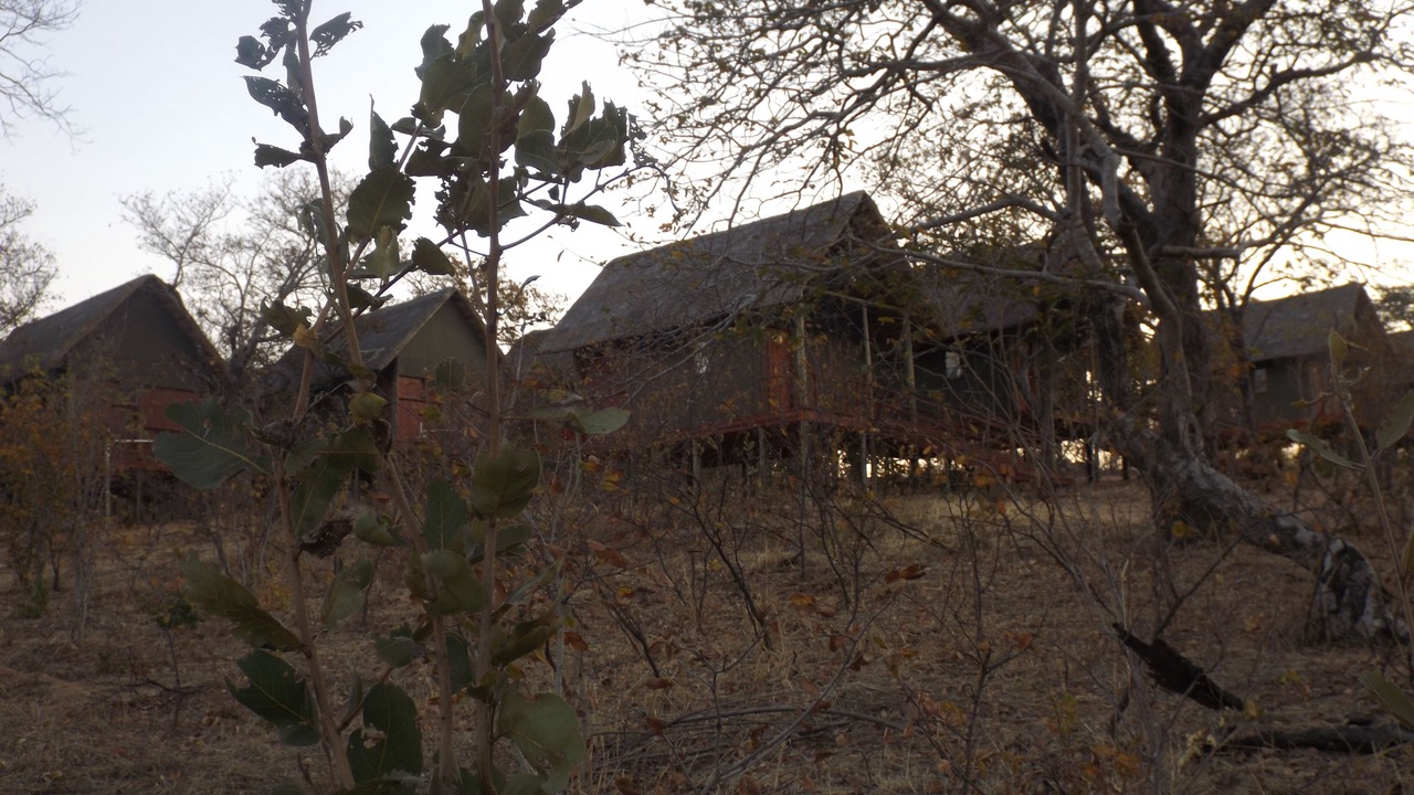 Photo of Outdoor in Kasane