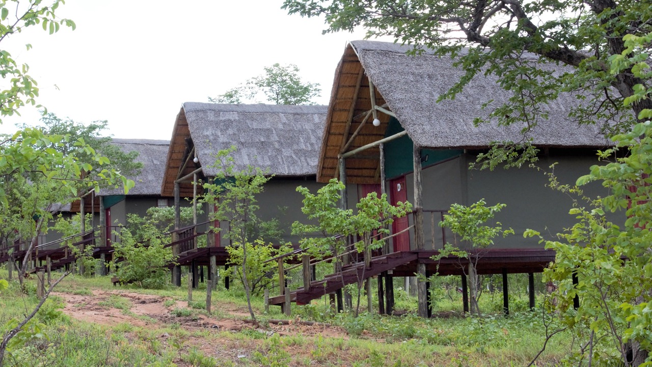 Photo of Outdoor in Kasane