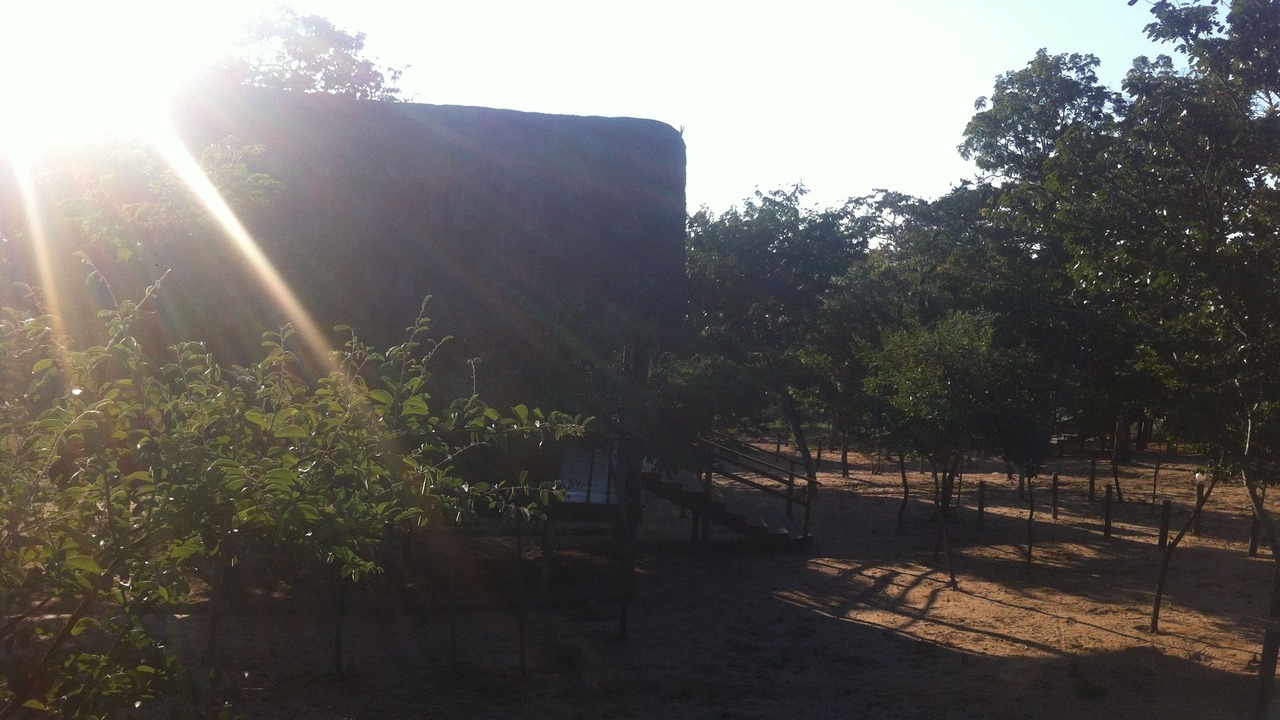 Photo of Outdoor in Kasane