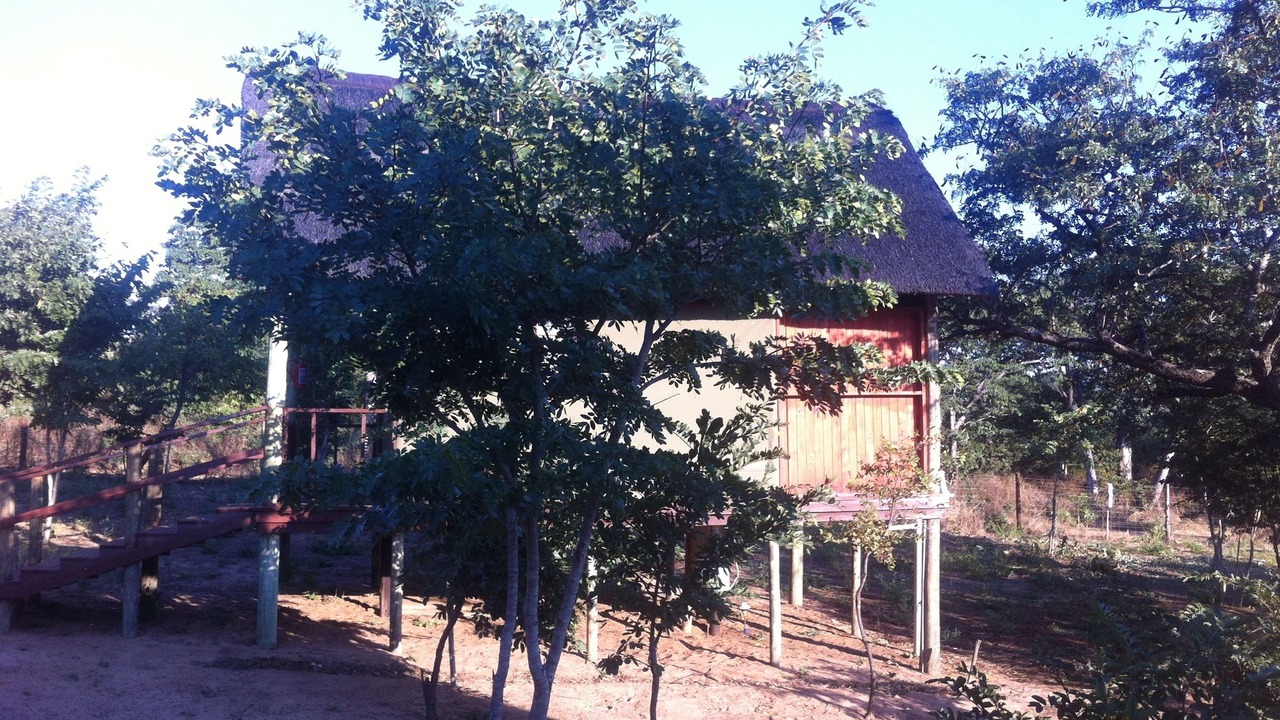 Photo of Outdoor in Kasane