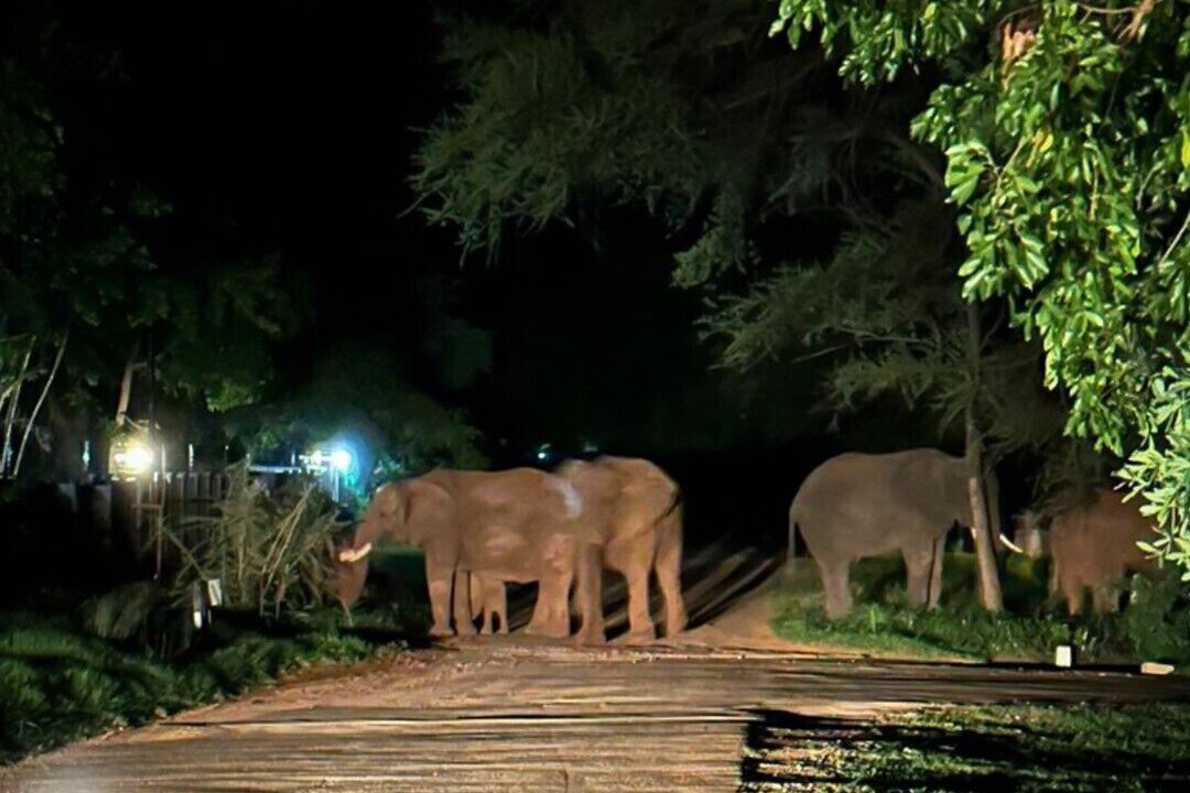 Photo of Outdoor in Victoria Falls