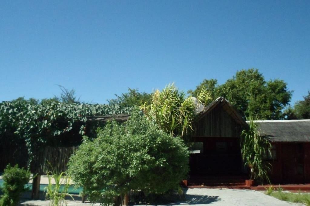 Photo of Outdoor in Maun