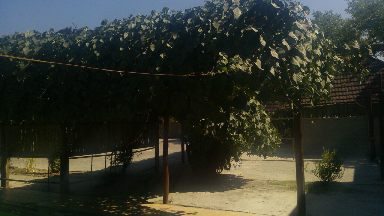 Photo of Outdoor in Maun