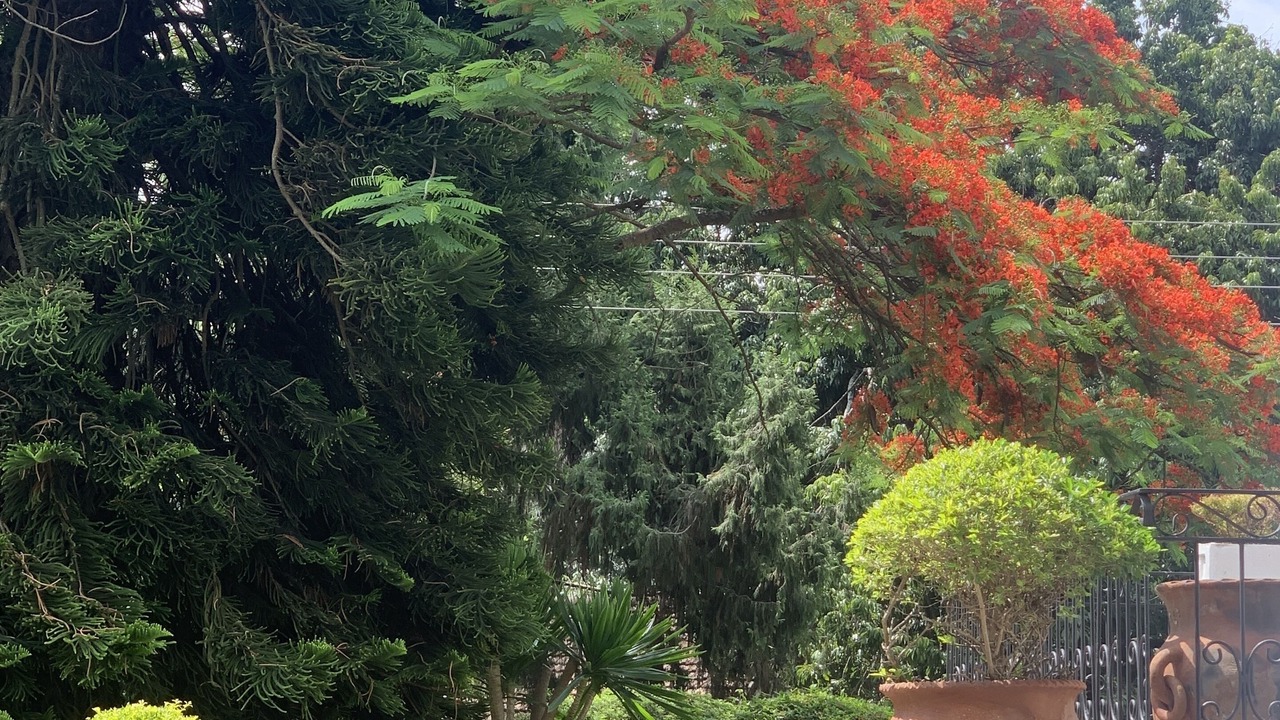 Photo of Outdoor in Greendale