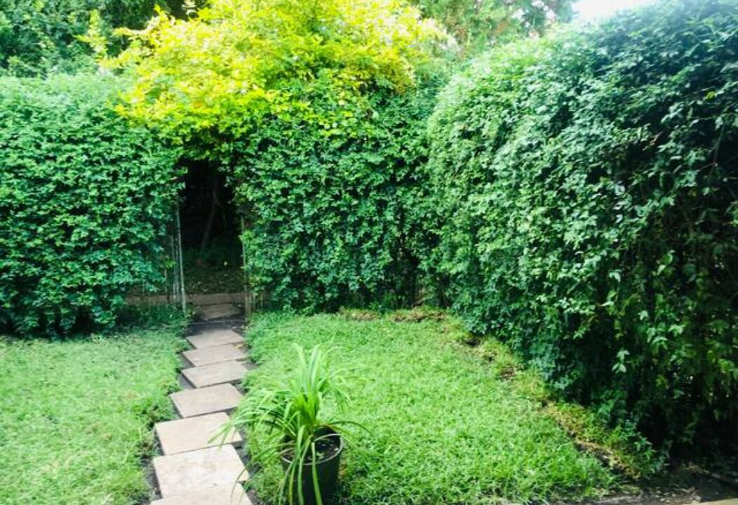 Photo of Outdoor in Harare East
