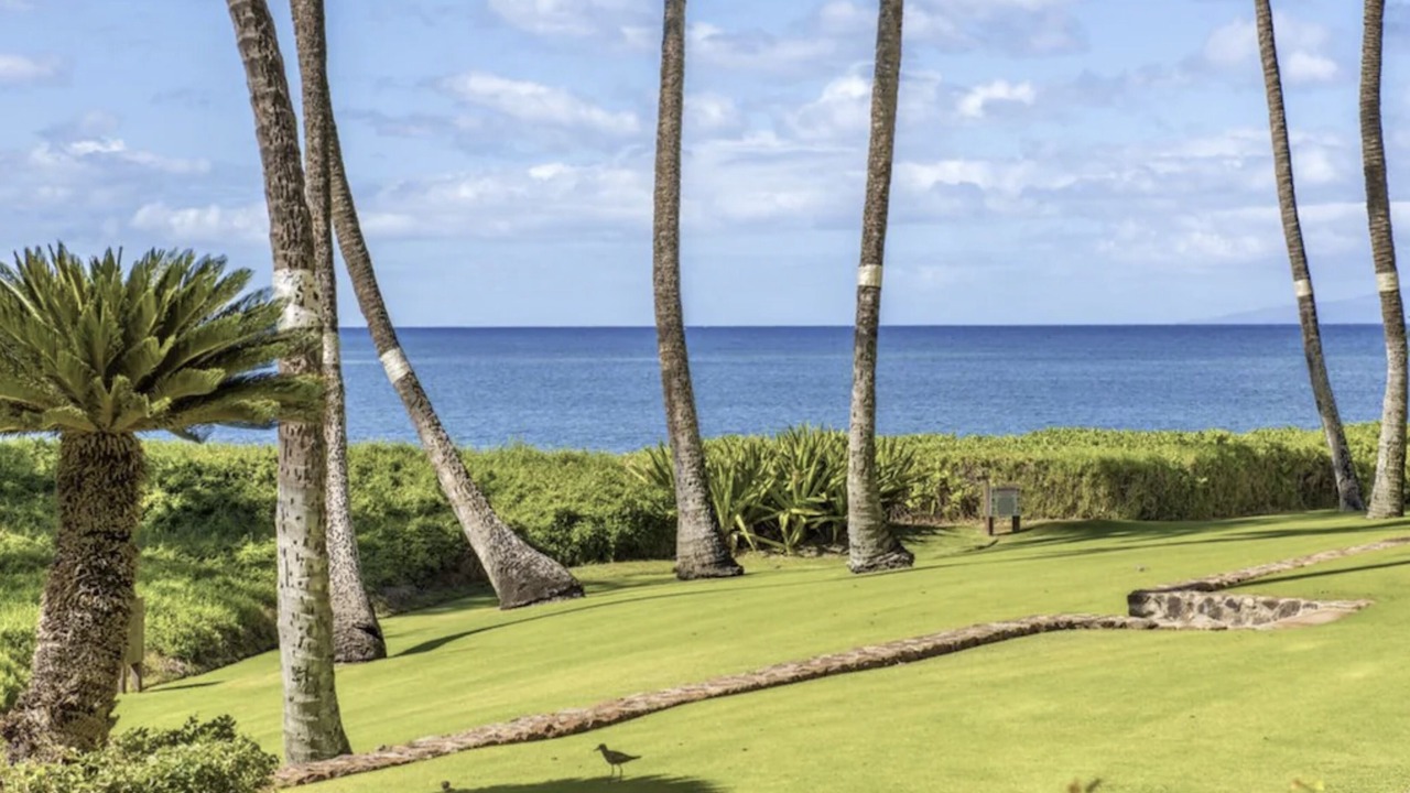Photo of Others in Kihei