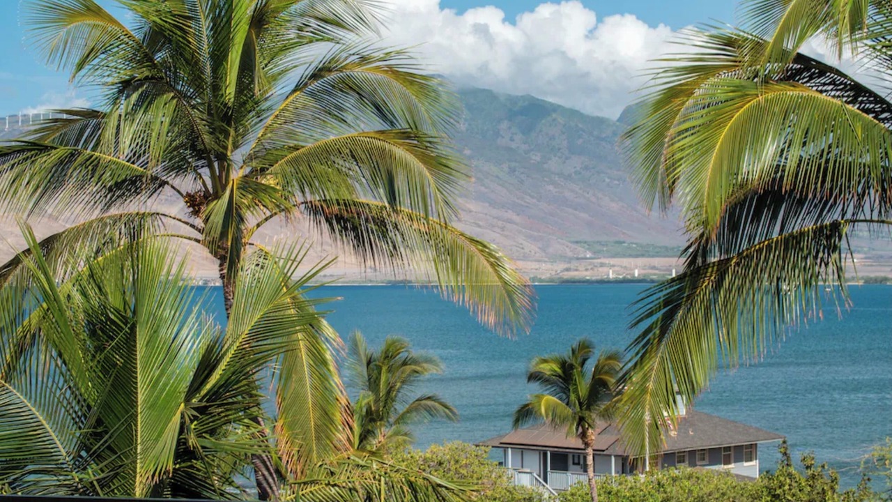 Photo of Others in Kihei