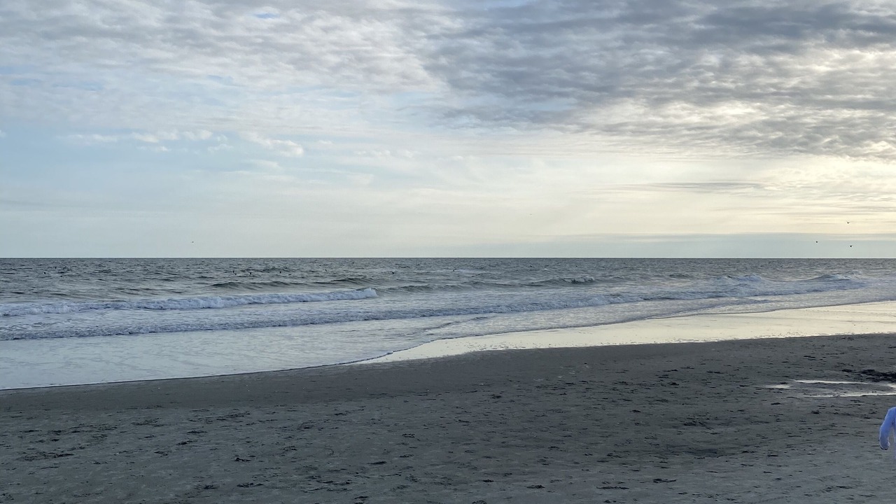 Photo of Others in Cherry Grove Beach