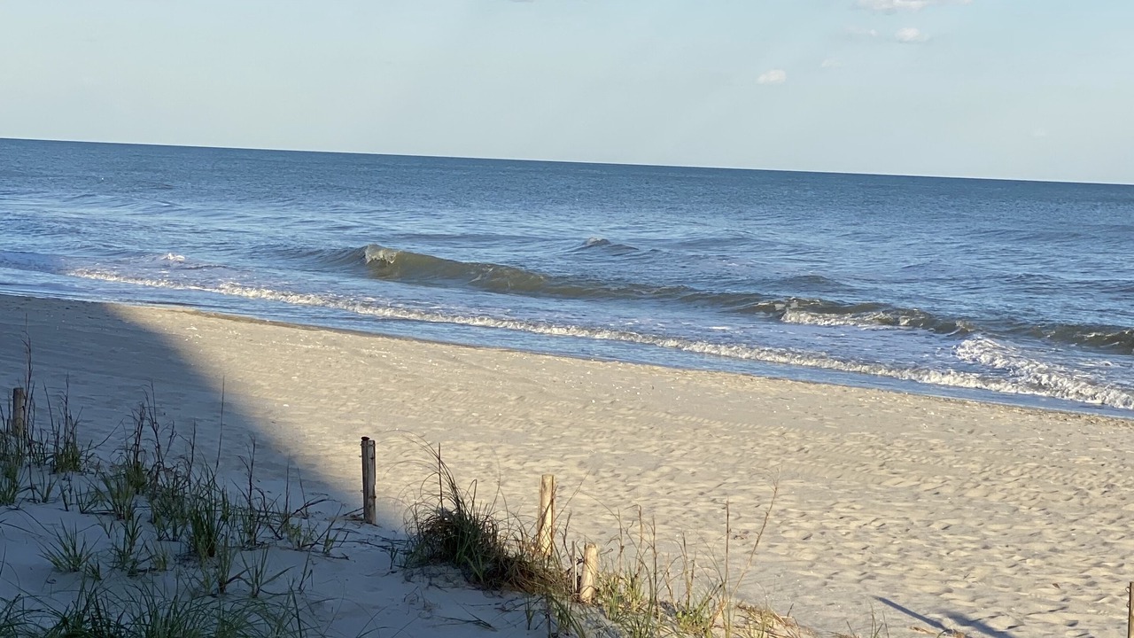 Photo of Others in Cherry Grove Beach