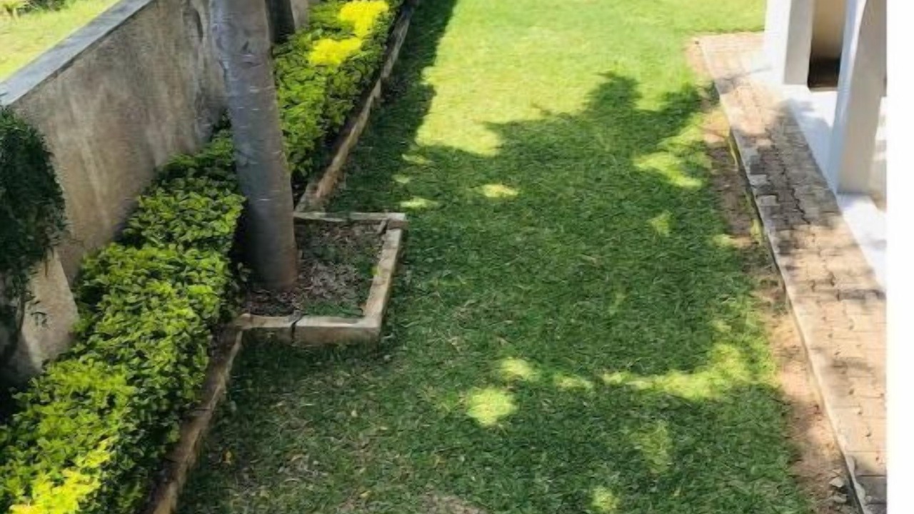 Photo of Outdoor in Bulawayo