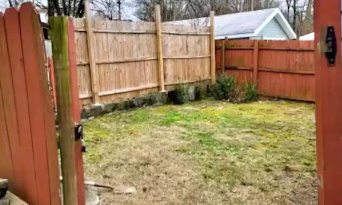 Photo of Outdoor in Alcoa