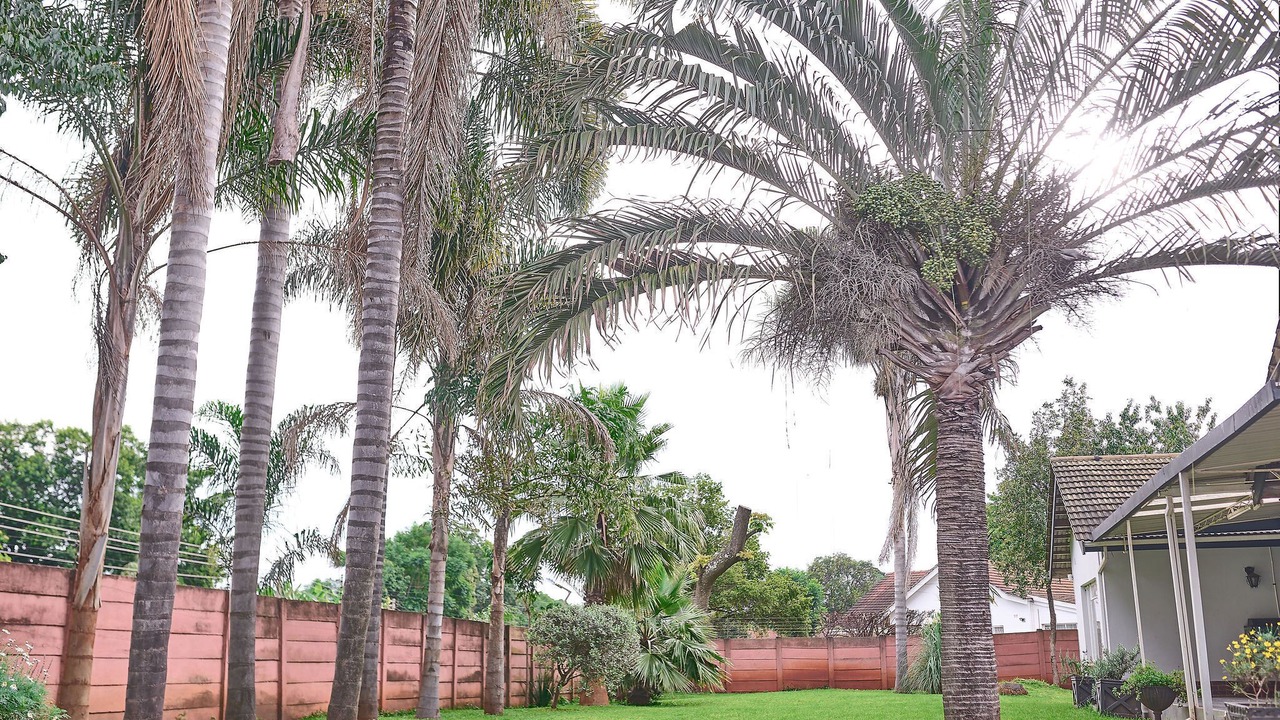 Photo of Outdoor in Harare