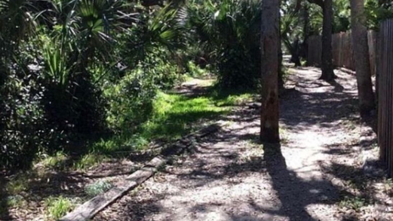 Photo of Outdoor in Ocean Woods