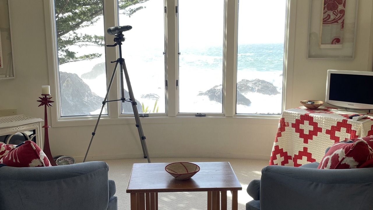 Photo of Livingroom in Mendocino