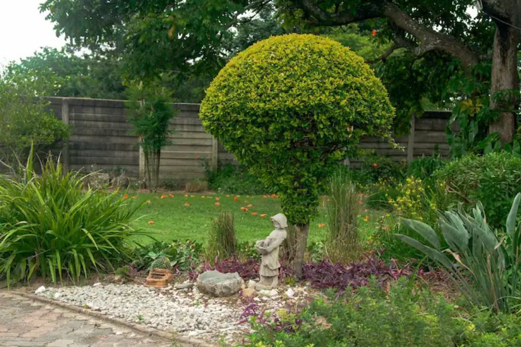 Photo of Outdoor in Harare