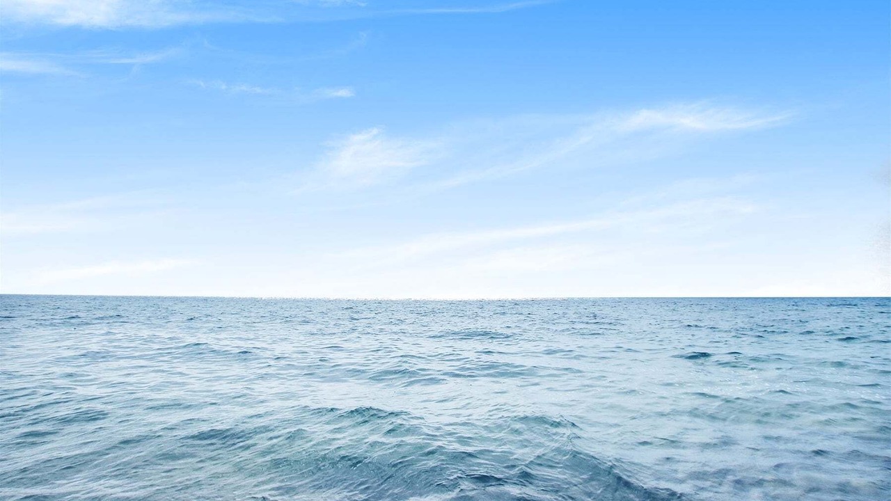 Photo of Others in South Haven