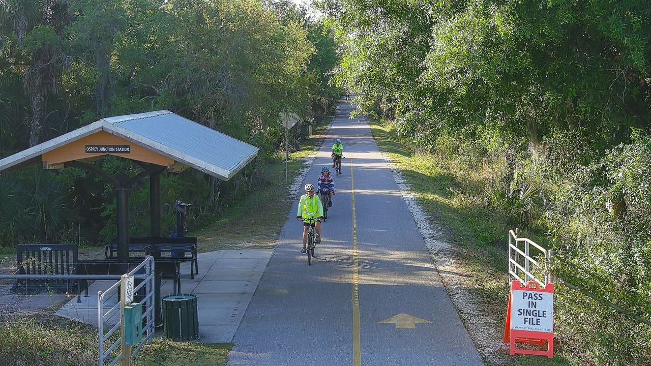 Photo of Outdoor in Alta Vista