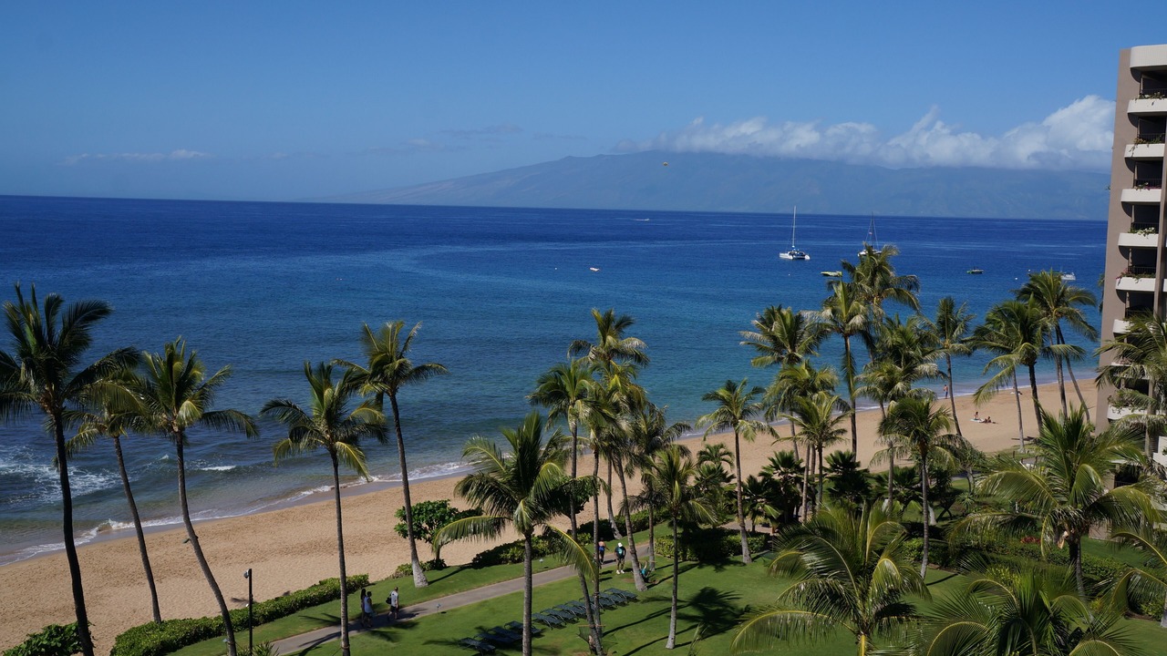 Photo of Others in Kaanapali
