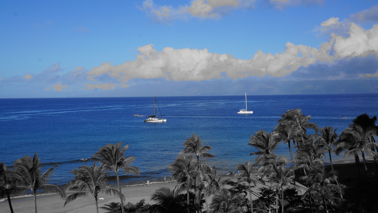 Photo of Others in Kaanapali