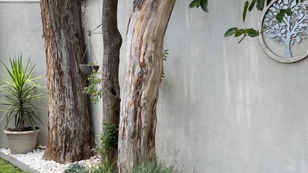 Photo of Outdoor in Bulawayo
