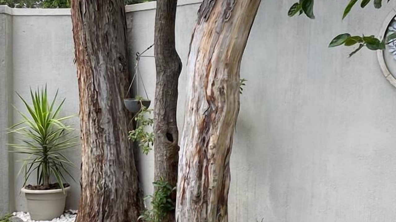 Photo of Outdoor in Bulawayo