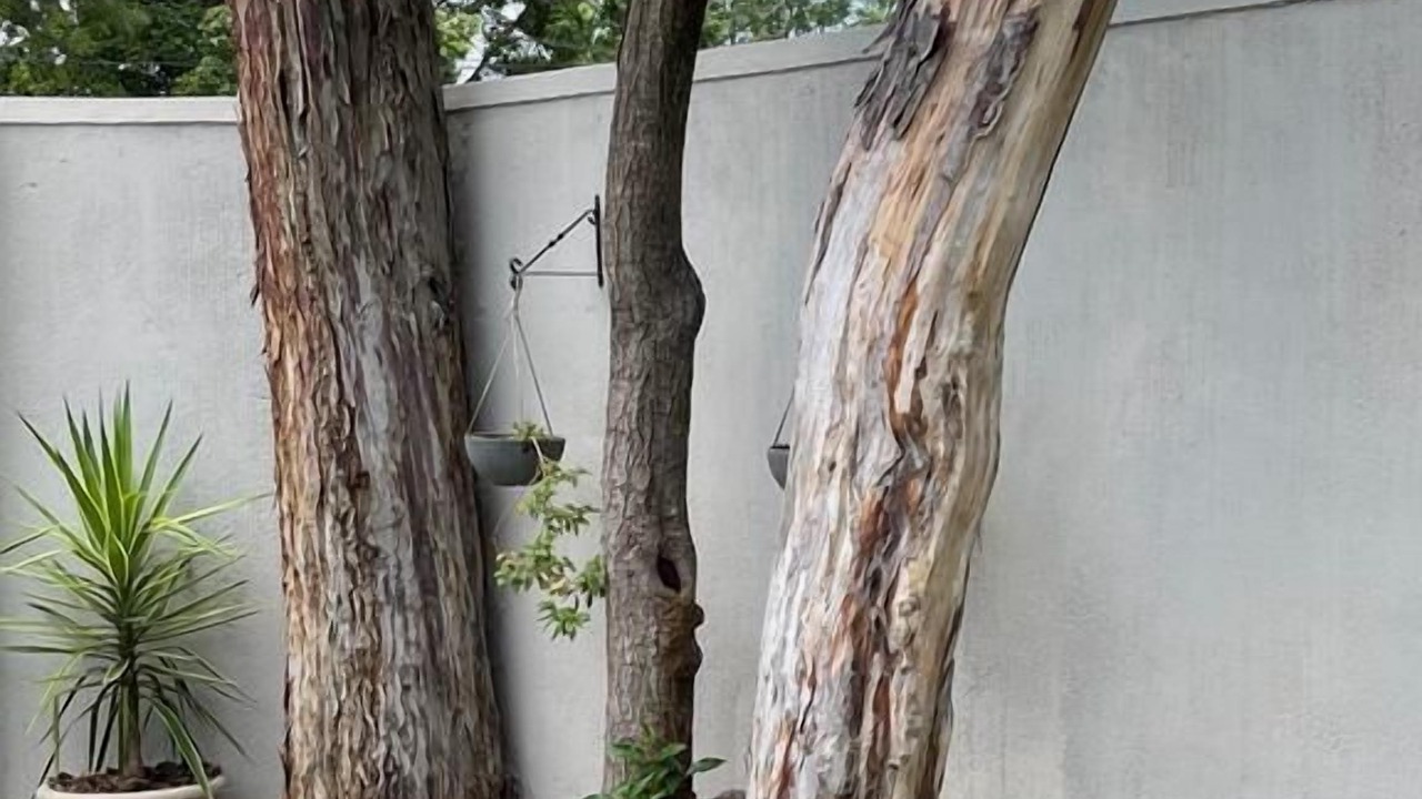 Photo of Outdoor in Bulawayo