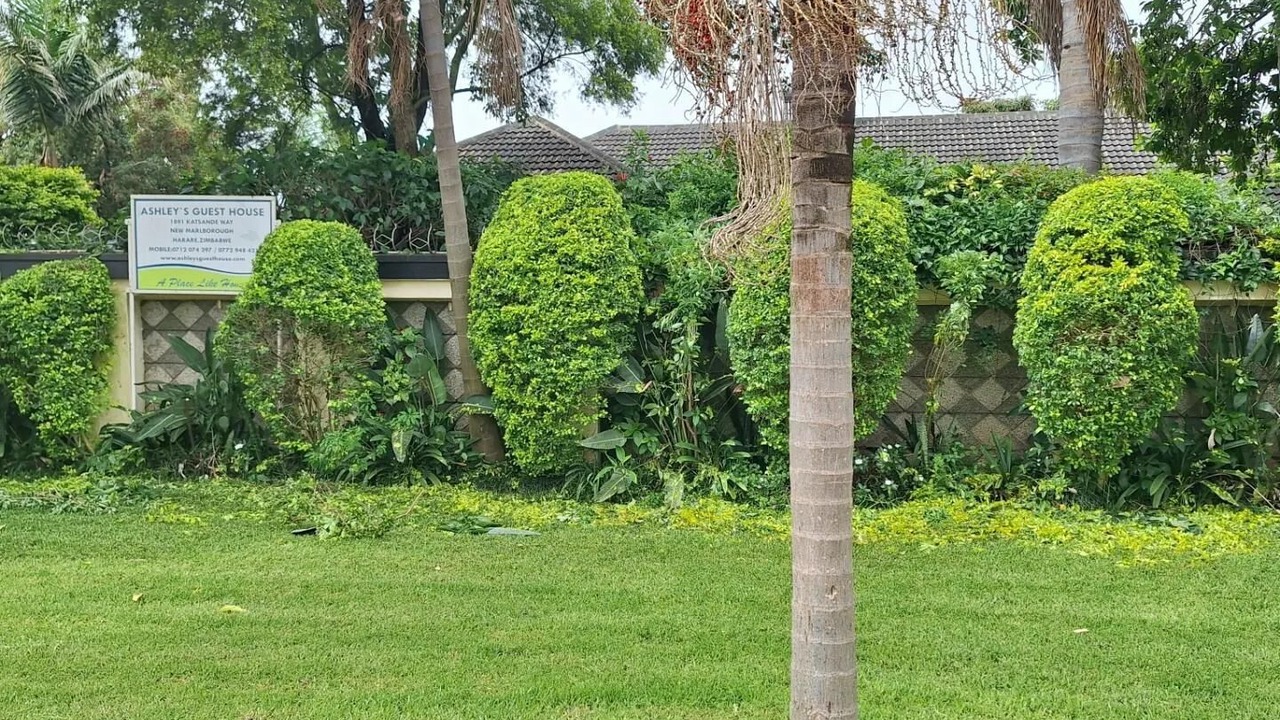 Photo of Outdoor in Harare