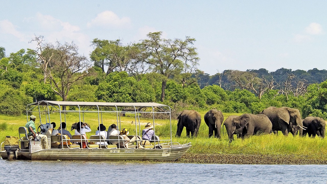Photo of Others in Victoria Falls
