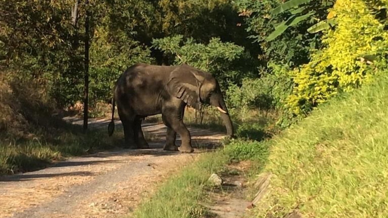 Photo of Outdoor in Kariba