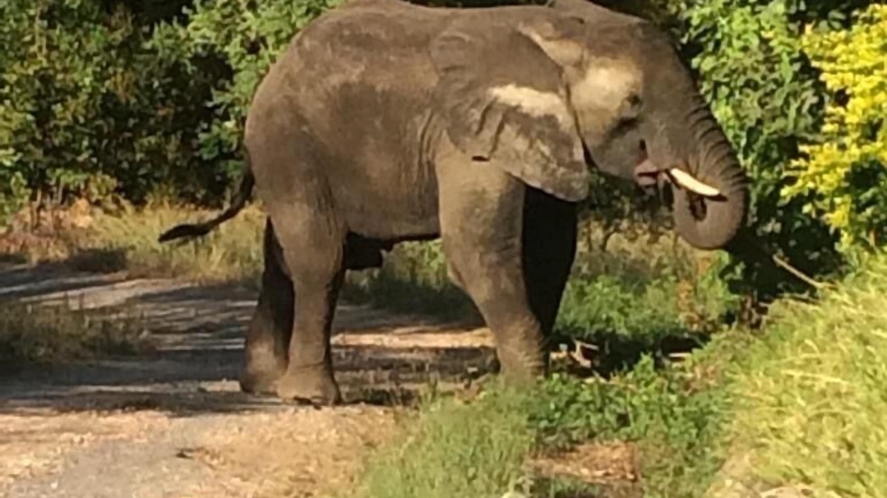 Photo of Outdoor in Kariba
