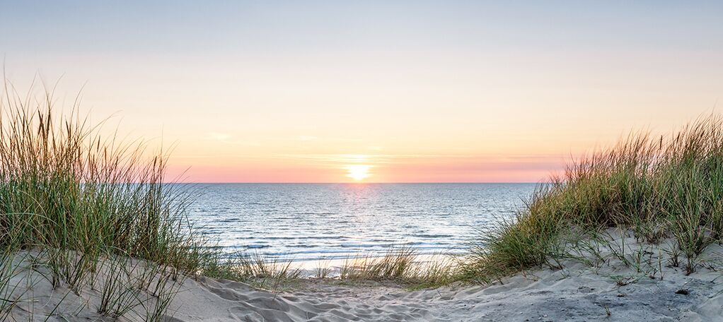 Photo of Others in Cherry Grove Beach