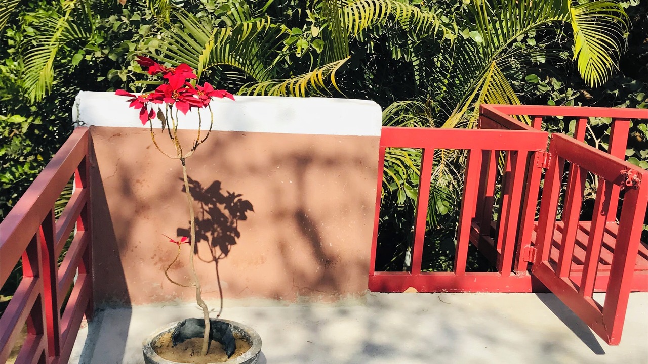 Photo of Outdoor in Lusaka