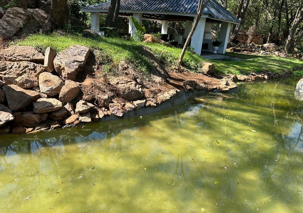 Photo of Outdoor in Bulawayo