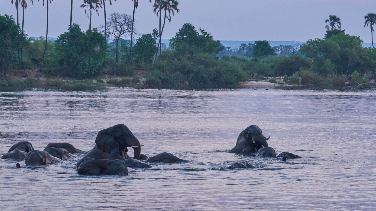 Photo of Others in Victoria Falls