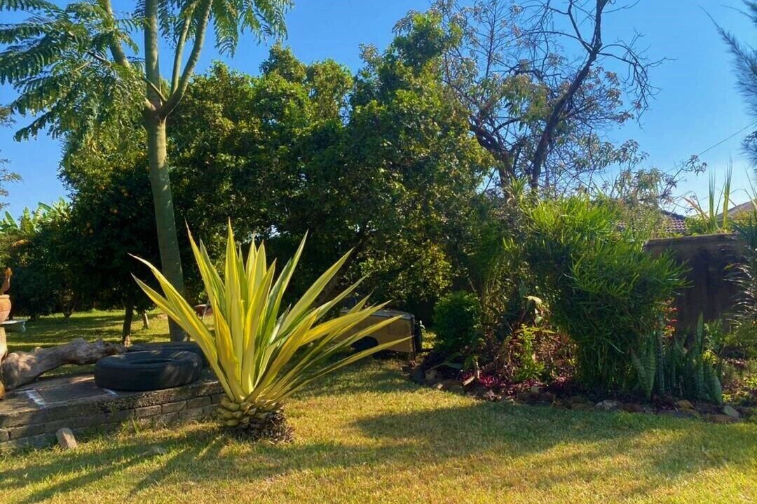 Photo of Outdoor in Chegutu