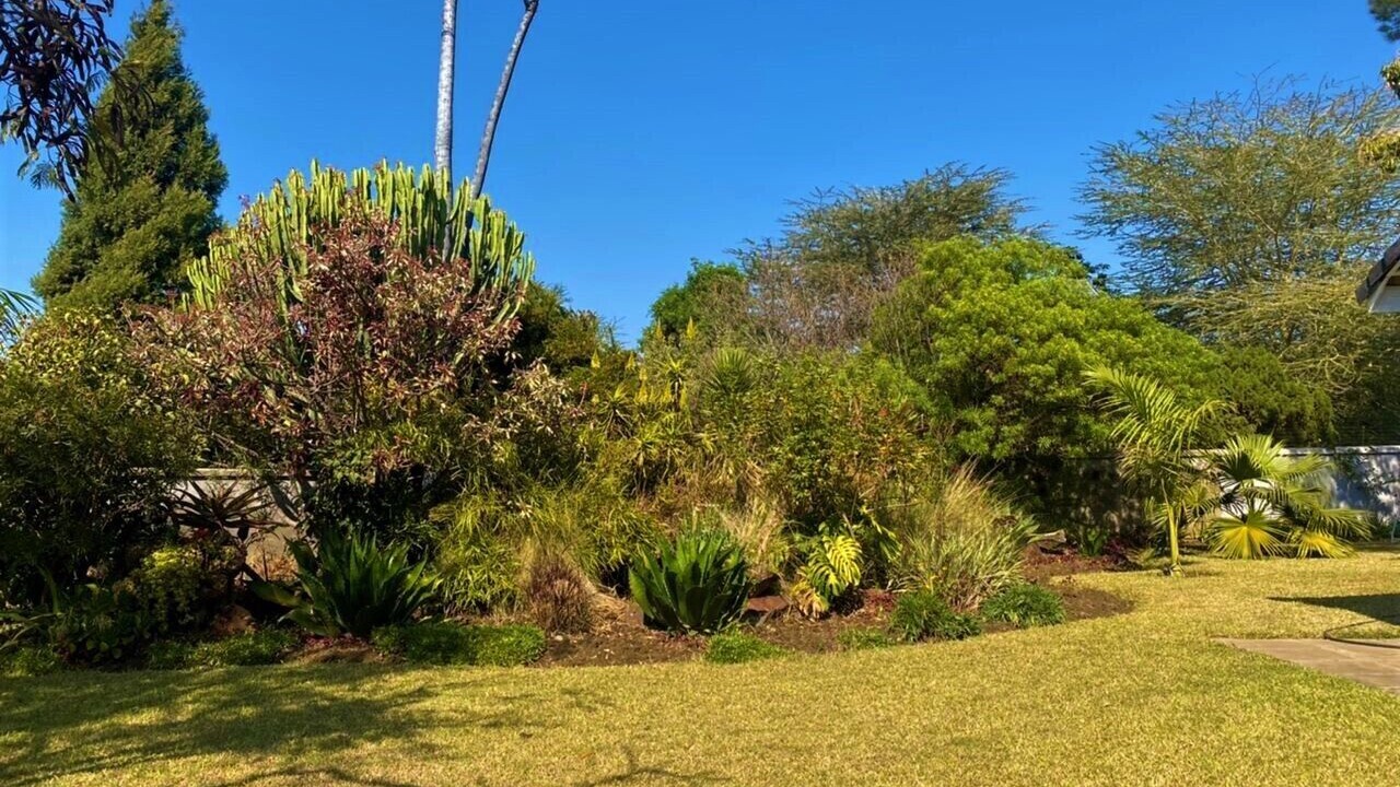 Photo of Outdoor in Chegutu