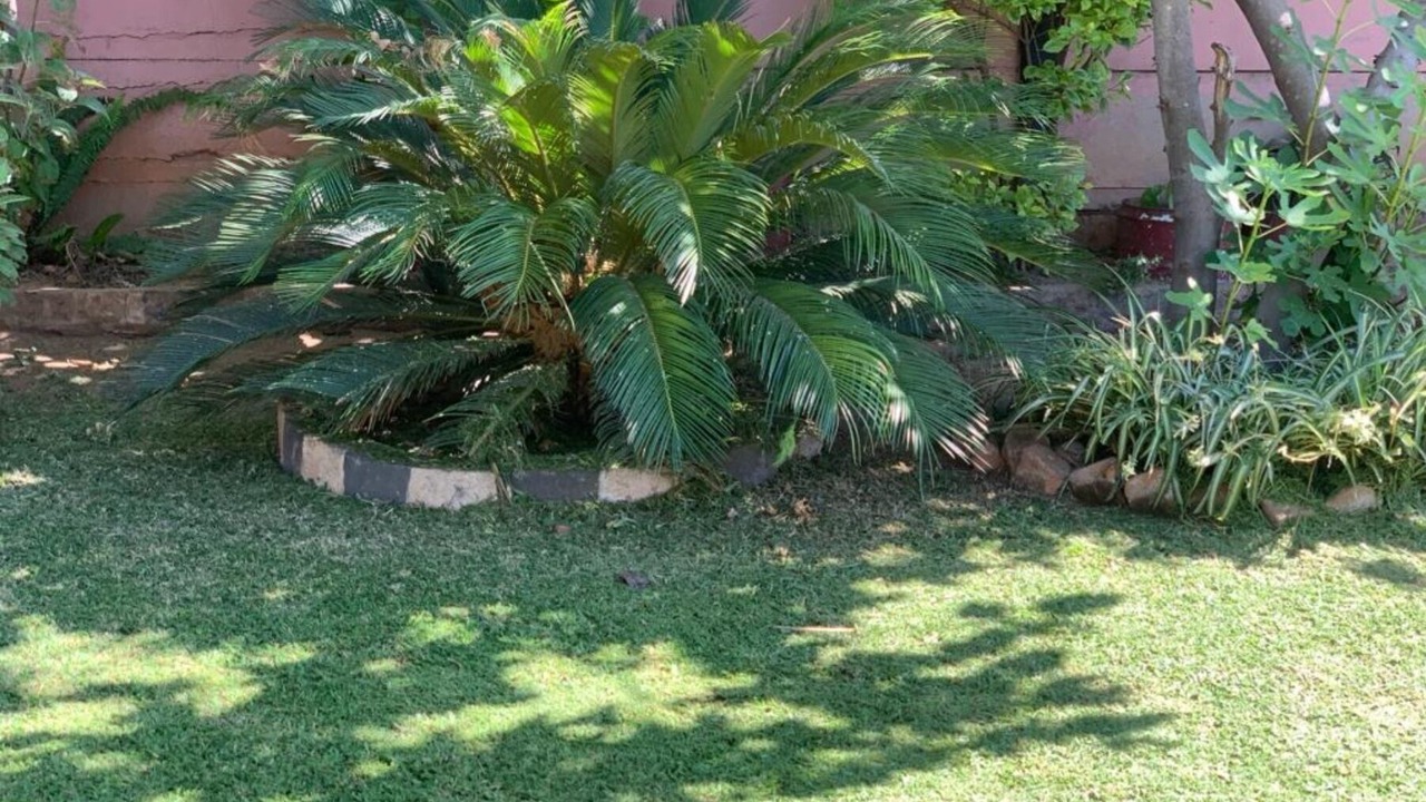 Photo of Outdoor in Mbare West