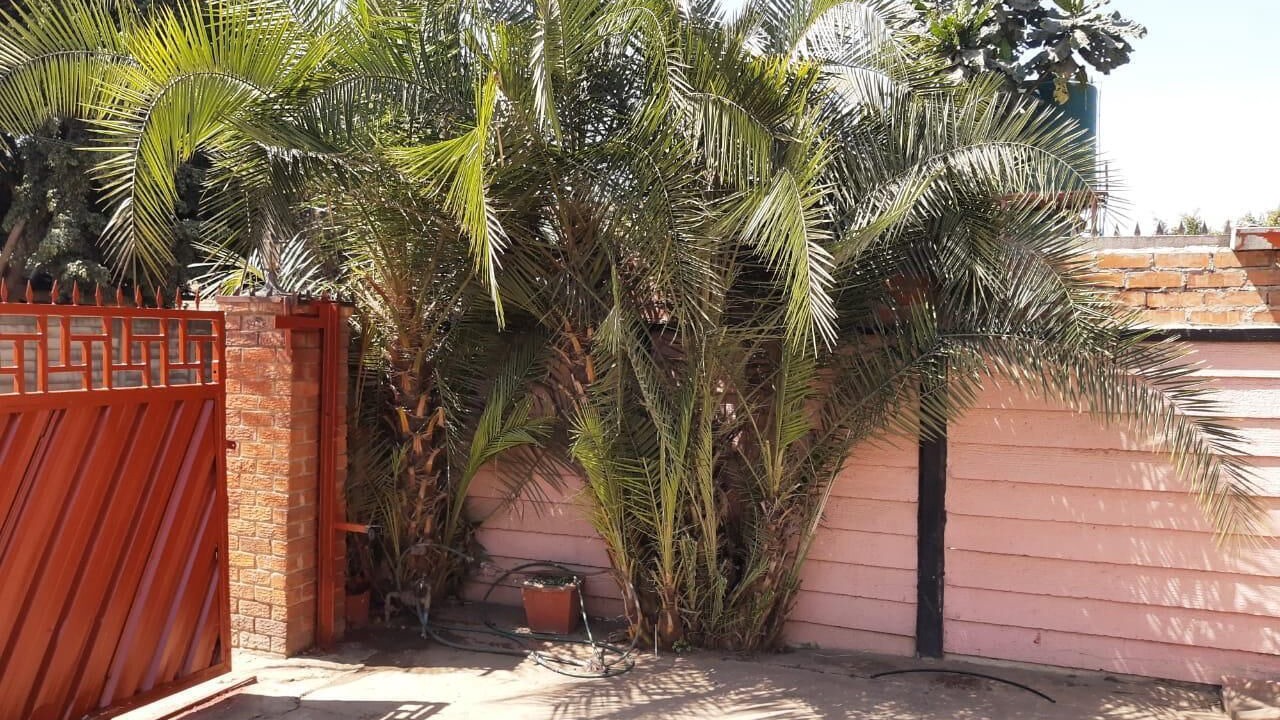 Photo of Outdoor in Mbare West