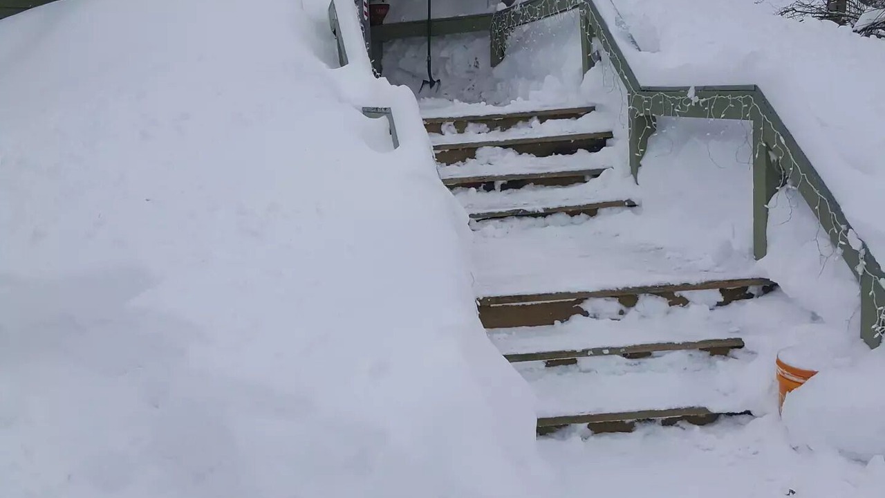Photo of Outdoor in Eustis
