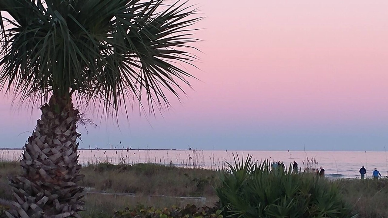 Photo of Others in Port Canaveral