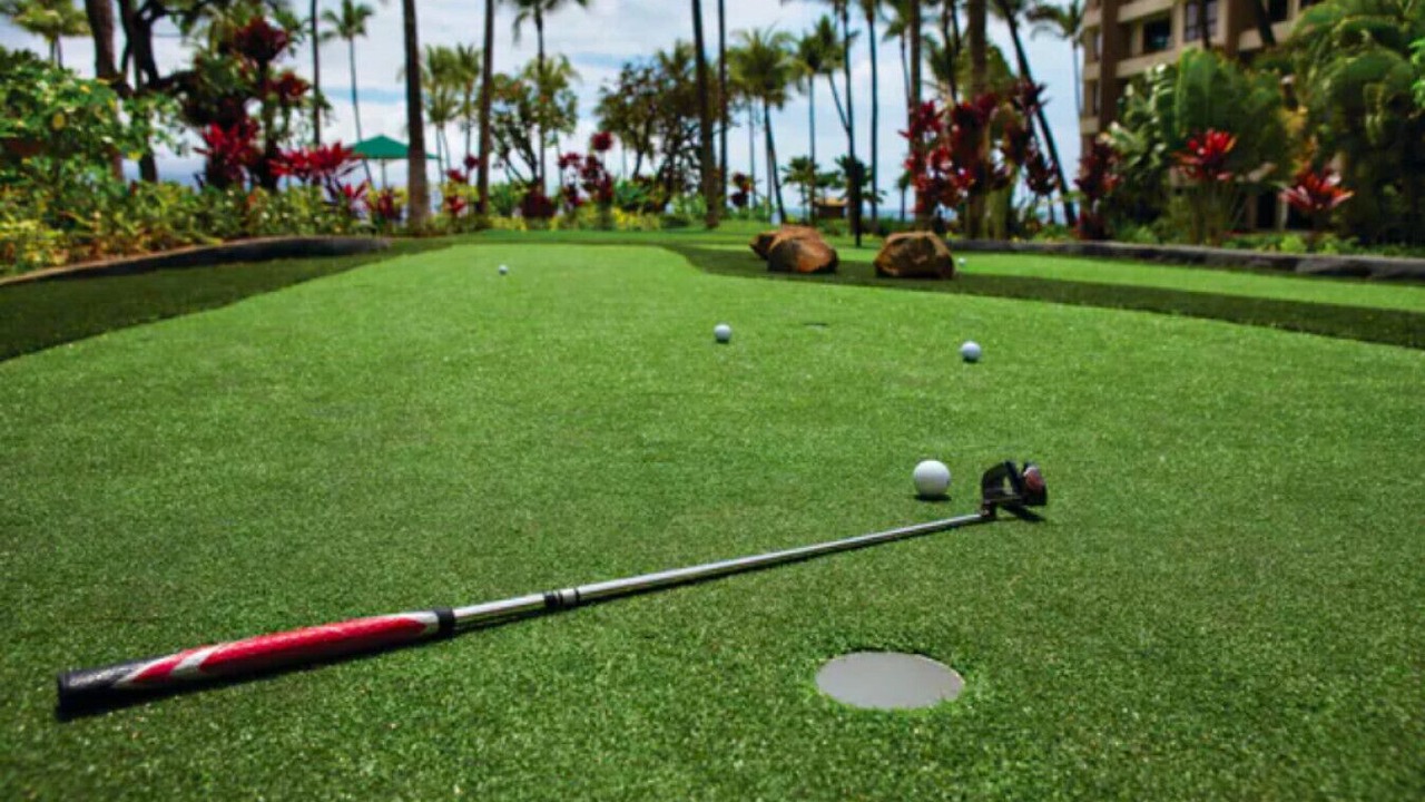 Photo of Others in Kaanapali