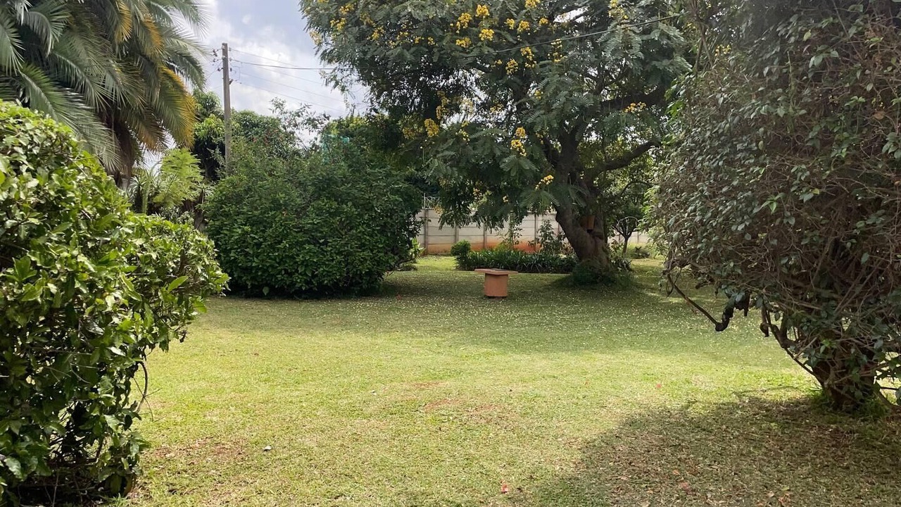 Photo of Outdoor in Harare